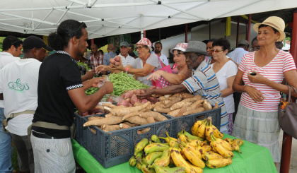 The future of agriculture in Seychelles: Small islands, smart farming, big challenges
