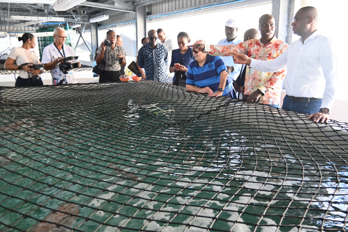 Côte d’Ivoire delegation explores aquaculture expertise in Seychelles   