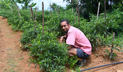 High-value greenhouse vegetable farming: A growing opportunity in Seychelles