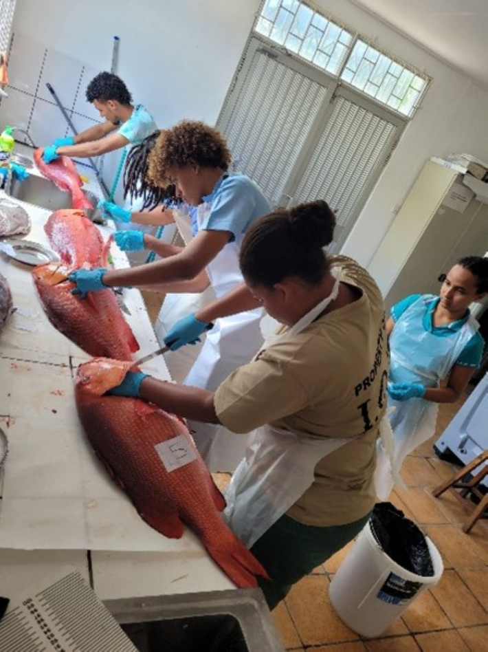 Protecting tomorrow’s catch: How science is guiding sustainable fisheries in Seychelles