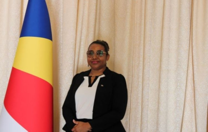 Deputy chief executives appointed
