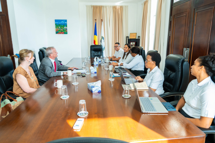 National Assembly explores foreign policy role