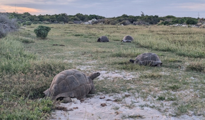 Taking stock of nature:  Assomption’s biodiversity baseline assessment