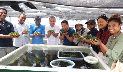 Fisheries technician gains valuable experience in Japan and Solomon Islands
