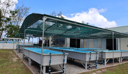 Watchful waiting: What a strong El Niño warning means for coral reefs in Seychelles