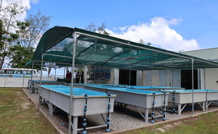 Watchful waiting: What a strong El Niño warning means for coral reefs in Seychelles
