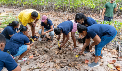 Parliamentary staff support mangrove conservation