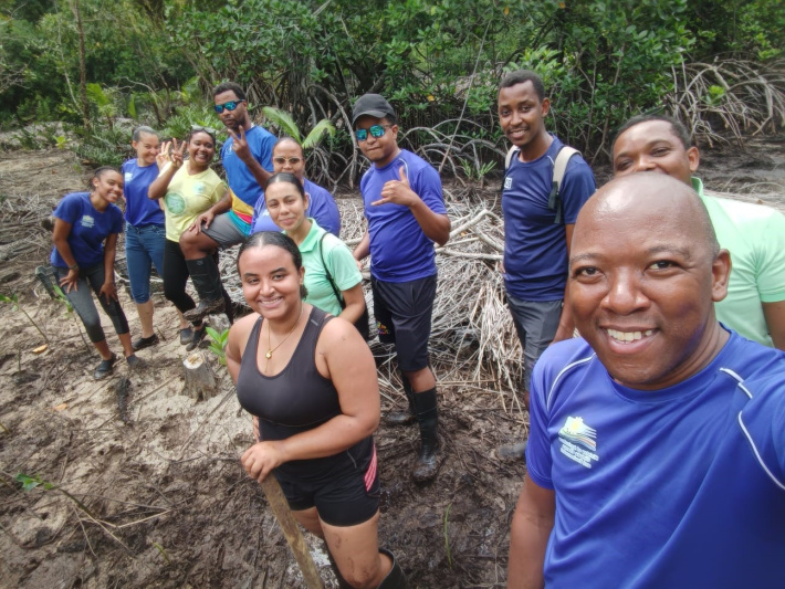 Mangrove restoration continues at Cap Ternay
