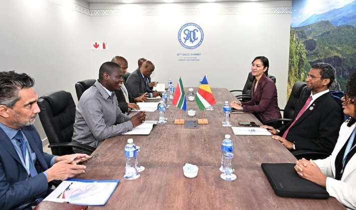 Minister Faure holds bilateral talks with South African counterpart on the margin of the 46th SADC Summit