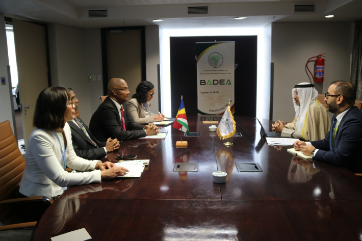 Seychelles, BADEA explore new financing opportunities