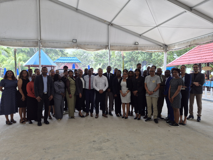 Strengthening STI measurement for evidence‑based development in SADC