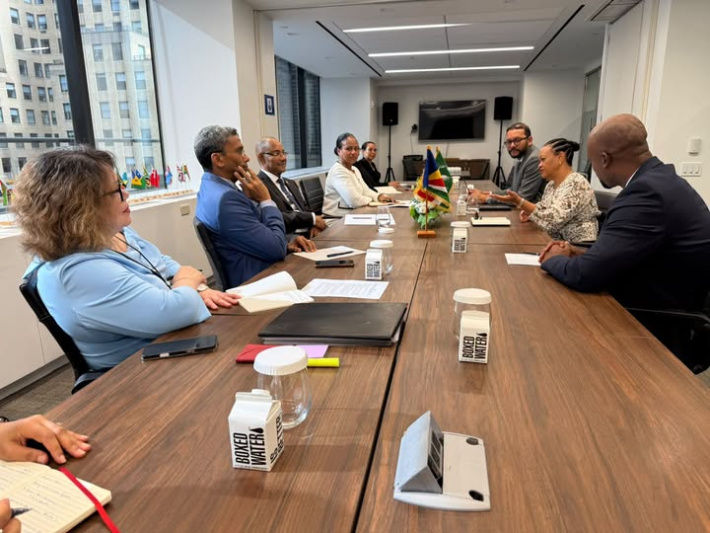 Seychelles and APRM discuss credit ratings, investment and digital governance
