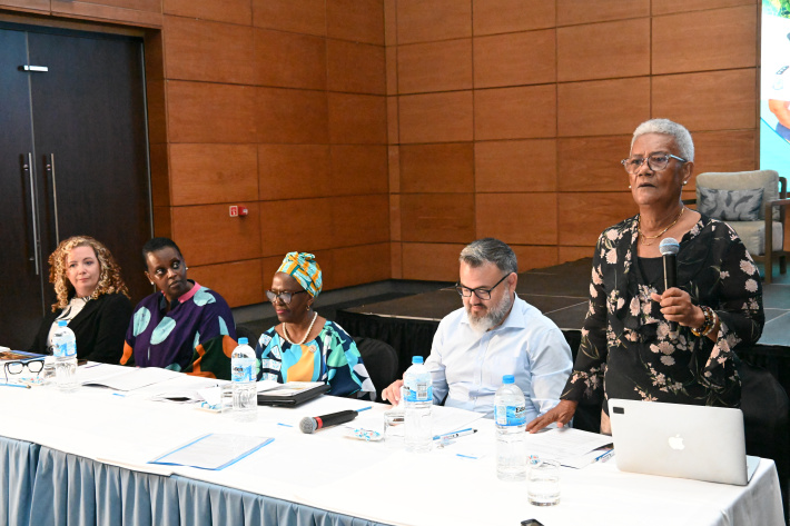 Stakeholders prepare to roll out WPS plan