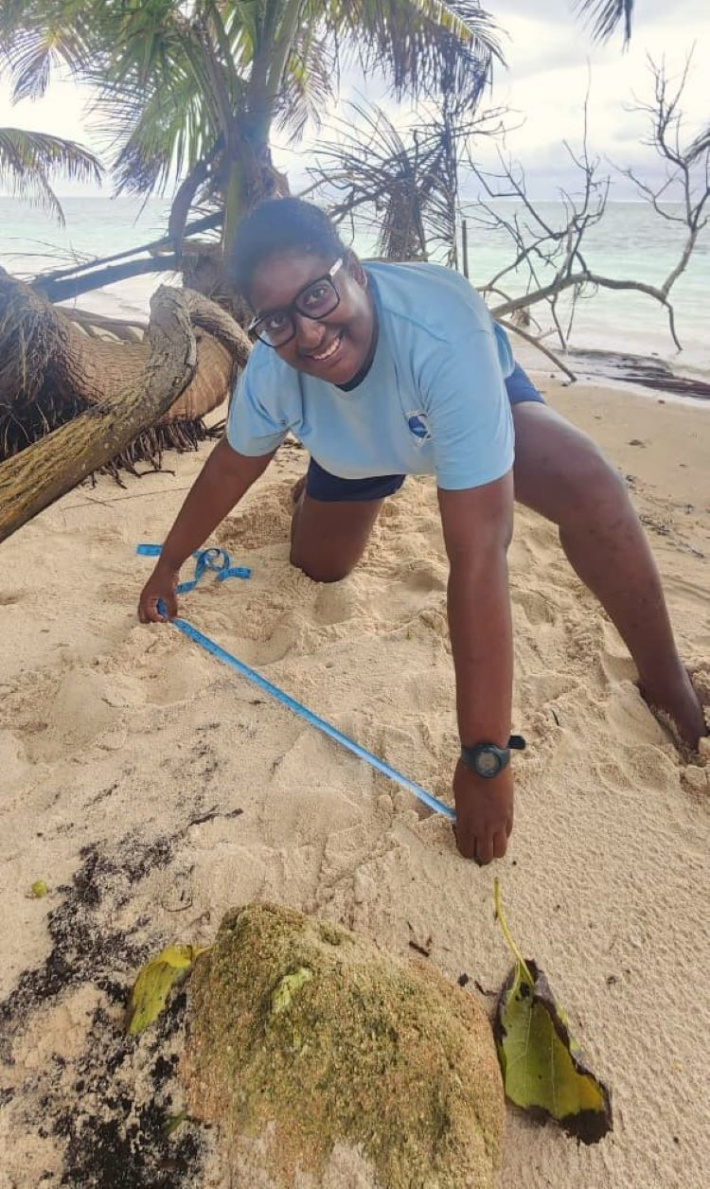 Hawksbill Turtle Nesting Season Underway on Ile Plate