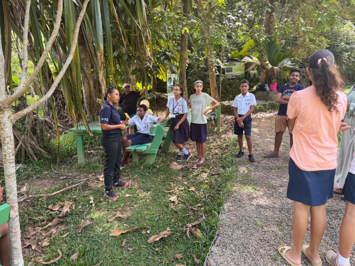 Growing with nature through Hugelkultur, mindfulness and wellbeing