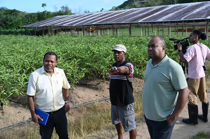 Storm damage leaves farmers counting costs