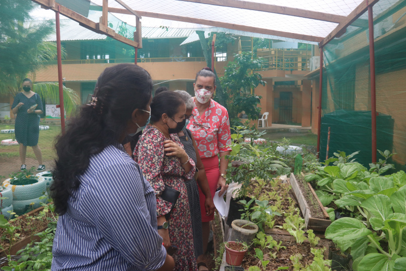 Plaisance primary school opens new shade house Seychelles Nation