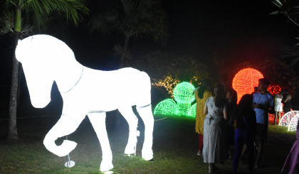 Lights