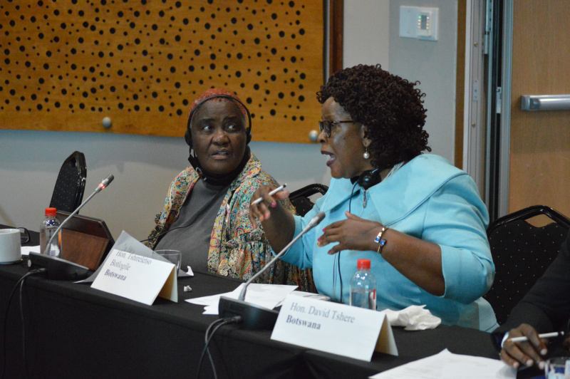 MPs’ focuses on bodily autonomy and integrity (BAI