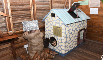 Lights